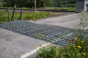 Färist